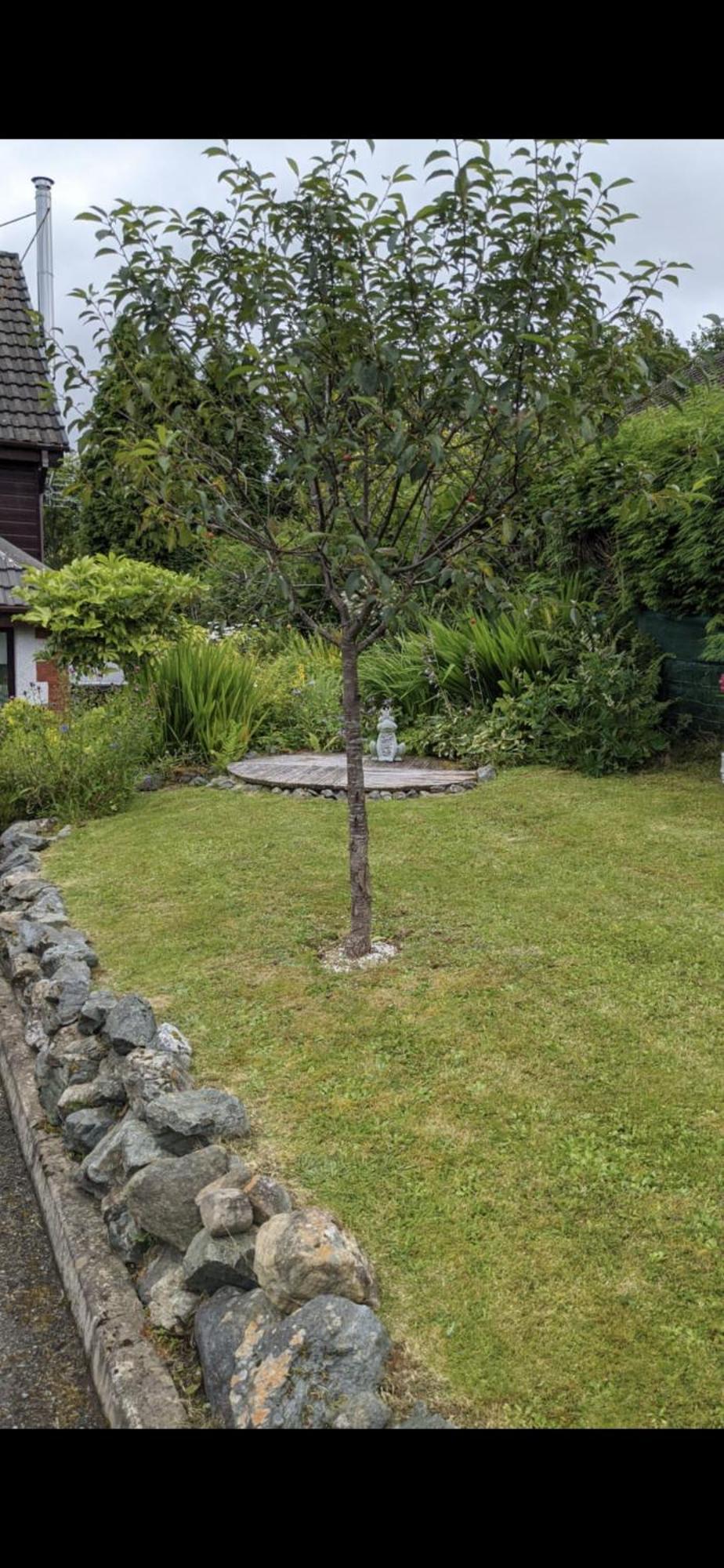 Contemporary Highland House Close To Town And Ben Nevis Fort William Dış mekan fotoğraf